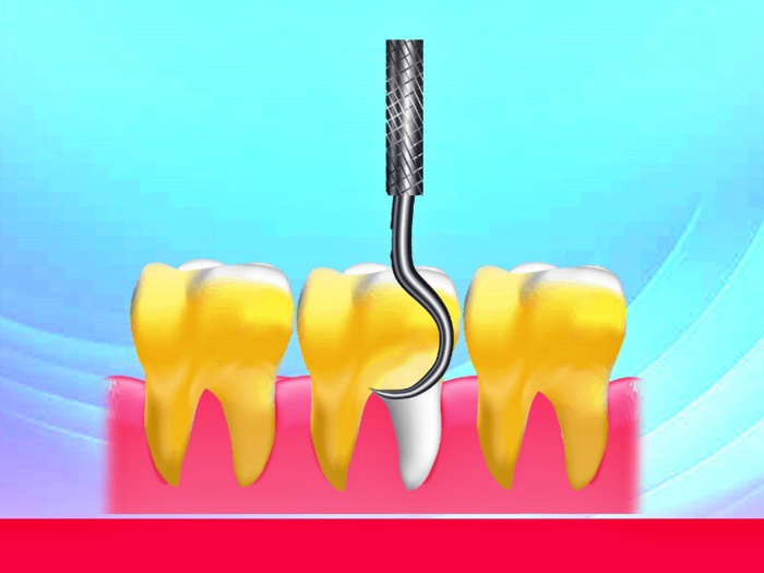 치과전문의 과목