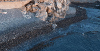 외도_보타니아_가는방법_입장료_1박 2일_여행 코스