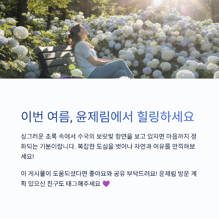 보성 윤제림 수국길은
