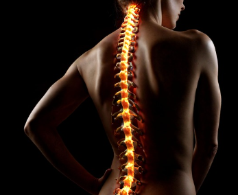 암 치료법 15종류