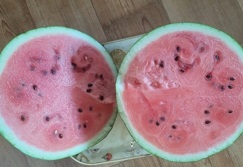 수박