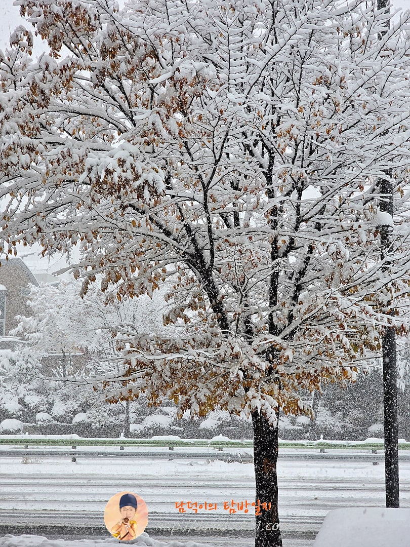폭설 (2024년 11월 27일)