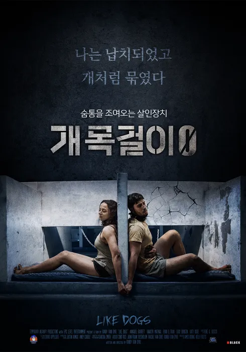 Y5TbPZ0w6TEayJc0l8-jIg