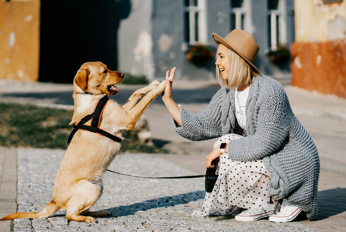 2023년 개띠 운세
