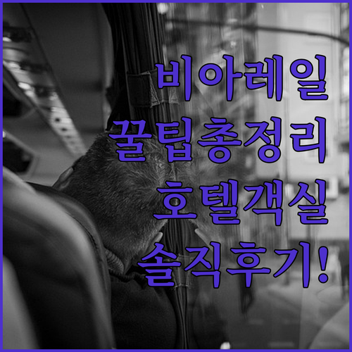 비아 레일 돔 카 이용 팁부터 프린스..