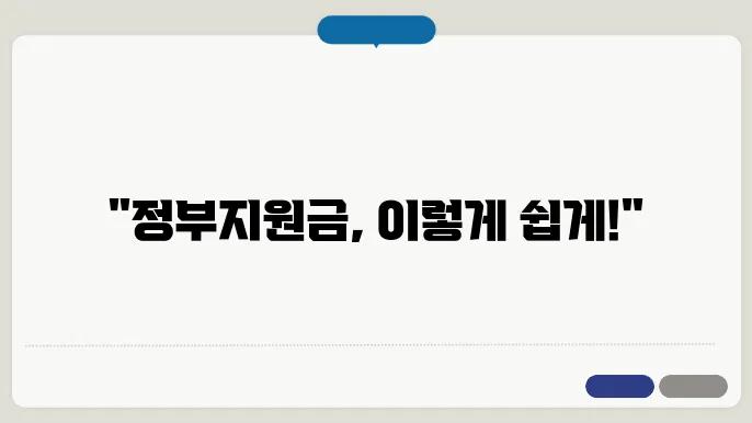 정확한 정부지원금 신청 가이드
