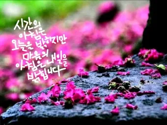 3월 인사말 모음 예시 문자_20