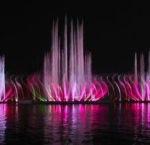 목포 유달산 개나리 축제 주차 맛집 꿀팁정리