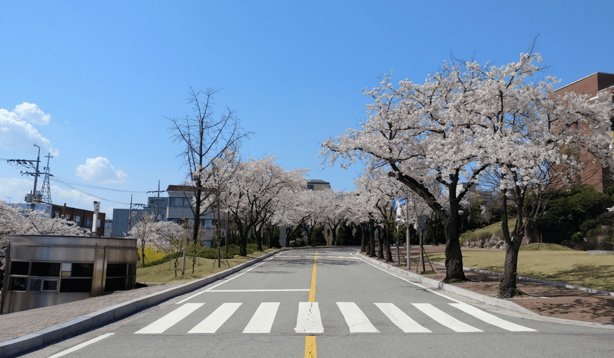 국내_여행자보험_인터넷가입_3