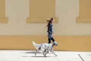걷기