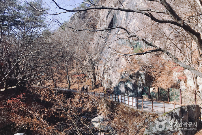 계룡 가볼만한곳 베스트10