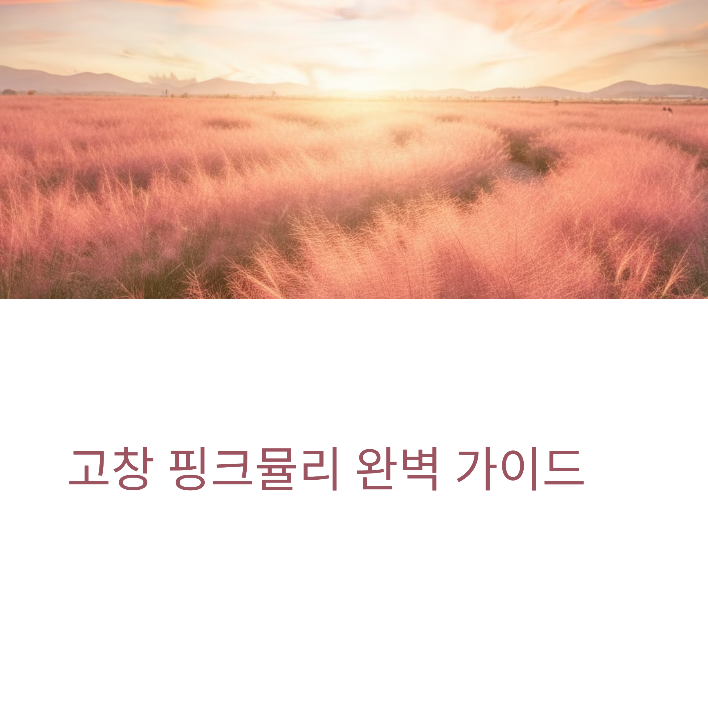 고창 핑크뮬리 축제