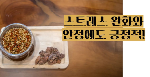 상황버섯 효능 부작용
