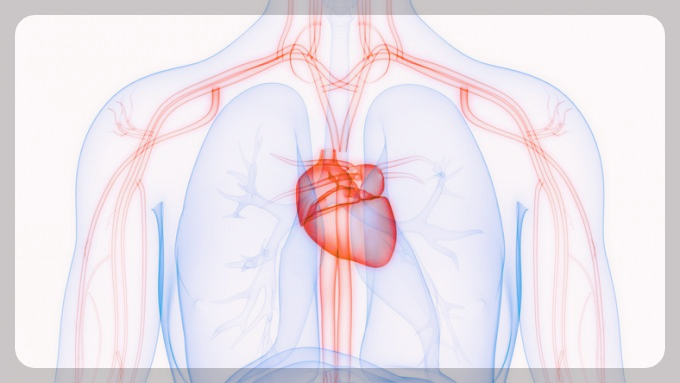 아보카도-효능-및-부작용