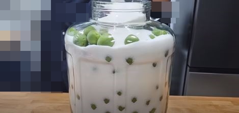 매실청 담그는법
