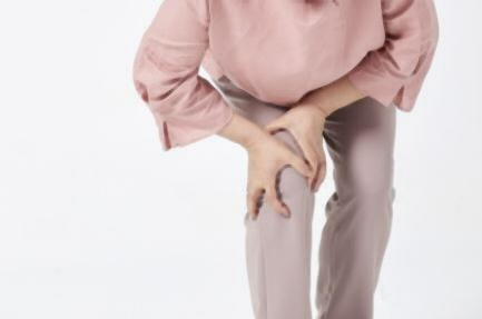 호관원 프리미엄 가격