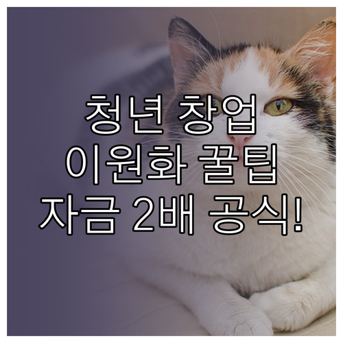 청년전용창업자금 융자와 패키지 무상 ..