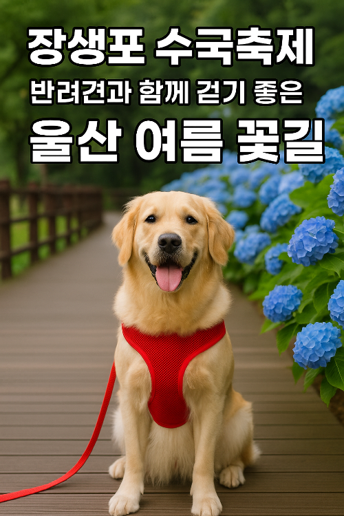 강아지랑 걷는 수국길 🌸 장생포 수국축제, 울산 여름꽃 명소 총정리!