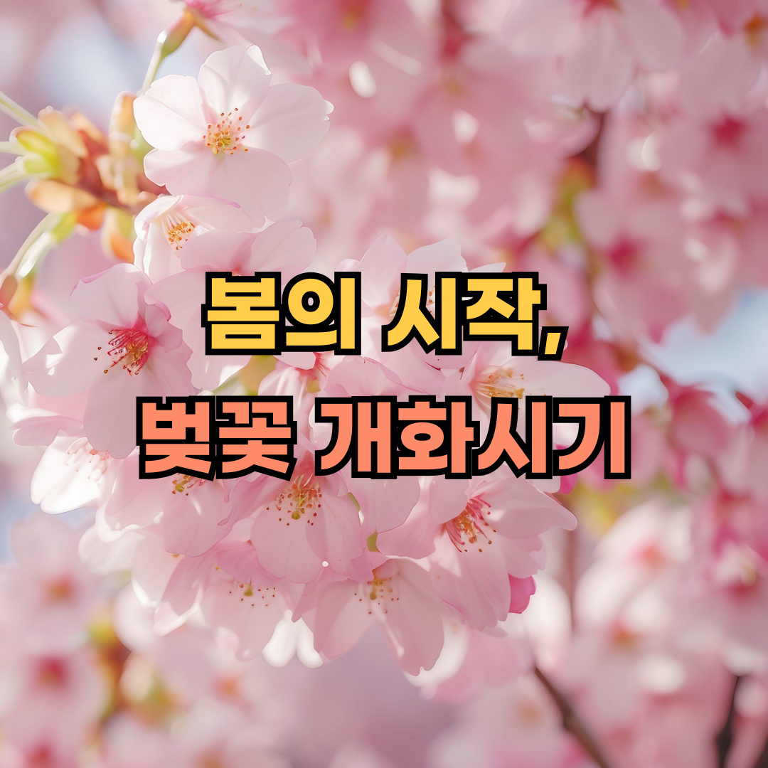 벚꽃개화