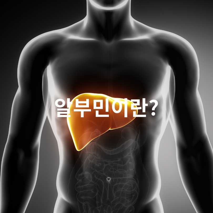 알부민 수치 낮을 때 나타나는 증상&amp;#44; 원인과 관리법