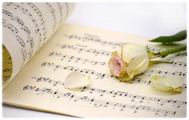 벨소리가 전부 무료인지 안내