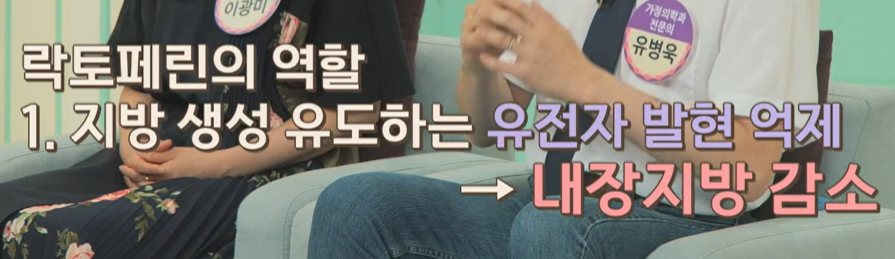 락토페린 역할