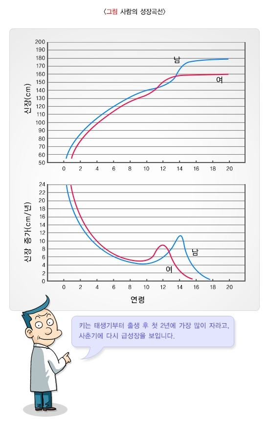 사람의 성장곡선