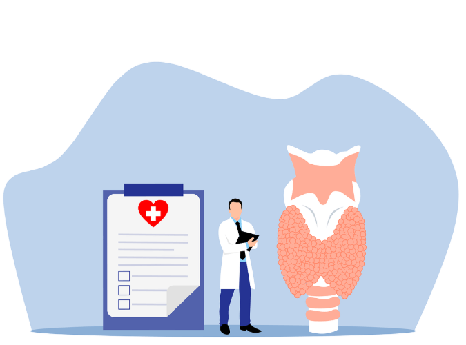 갑상선 이미지 일러스트