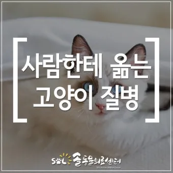 고양이 갑상선 기능 항진증 원인 증상 수치 관리법 총정리 정리자료_15