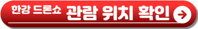한강 드론쇼