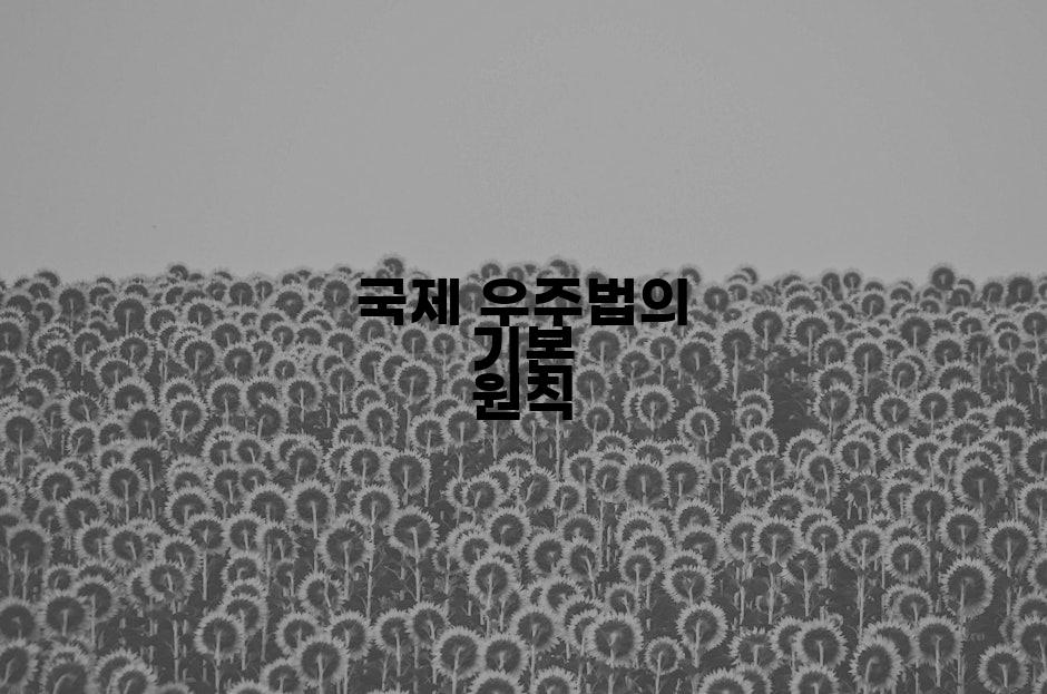 국제 우주법의 기본 원칙
