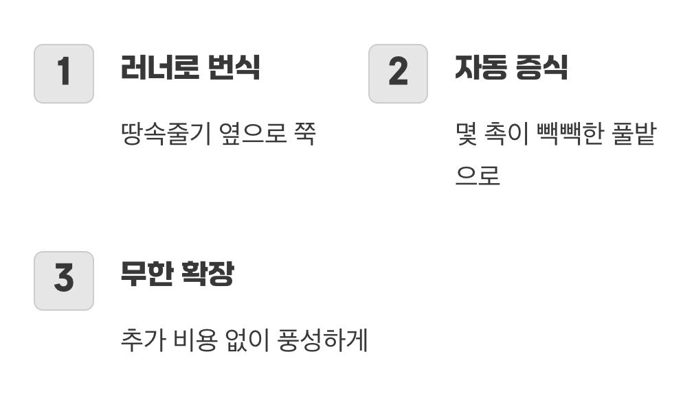 스스로 번식하는 기특한 생명력