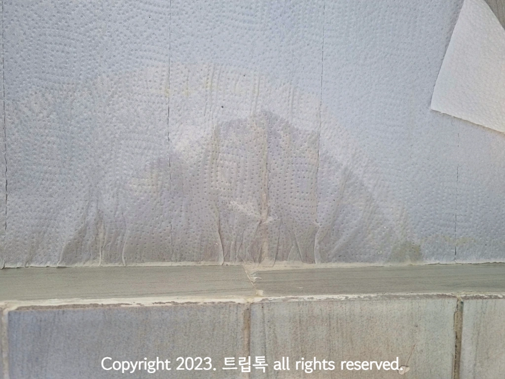 타일 틈사이에서 나온 물이 키친타올에 스며들어 있다