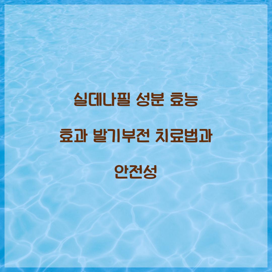 실데나필 성분 효능 효과