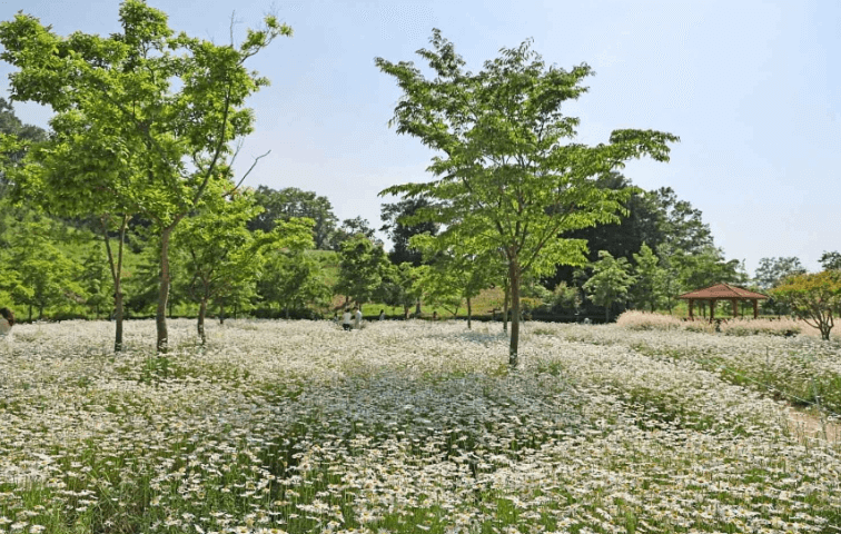 함안 가볼만한곳 베스트10