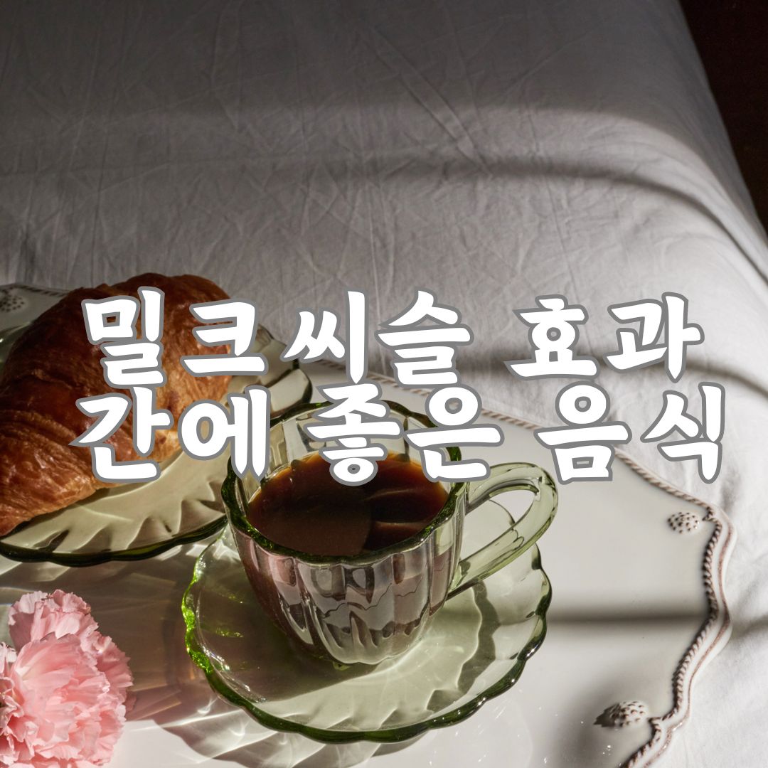 밀크씨슬 간수치