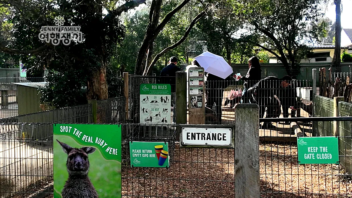 캥거루 체험존 입구 풍경과 입장 대기 중인 사람들 / Entrance scene of kangaroo encounter area with visitors waiting