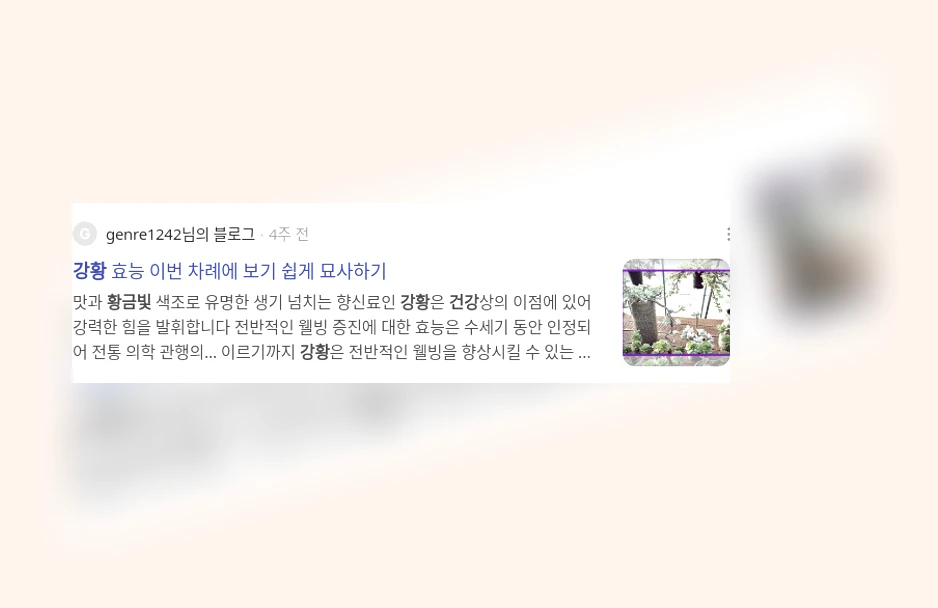 황금빛 건강 열쇠, 강황_3_subsection