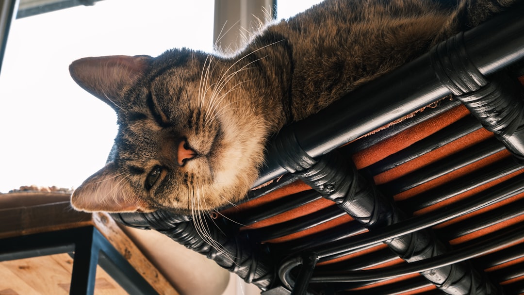 Heating assistance