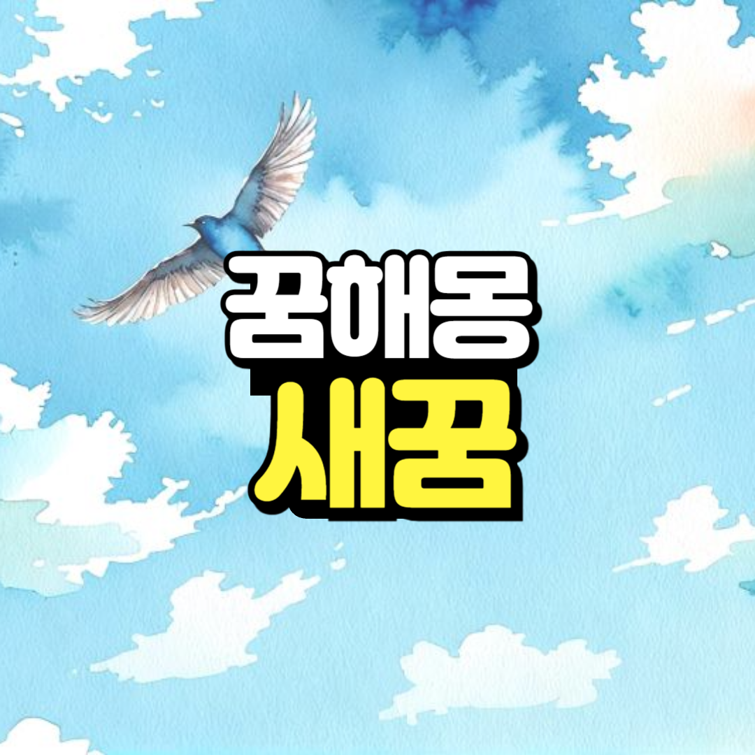 새꿈