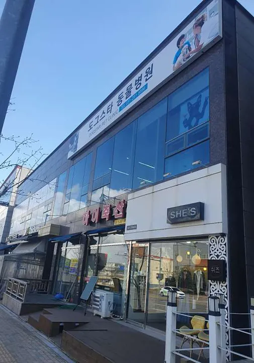 도그스타동물병원