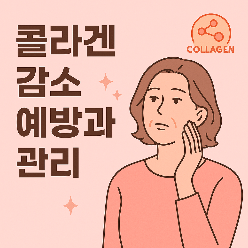 콜라겐 관련사진