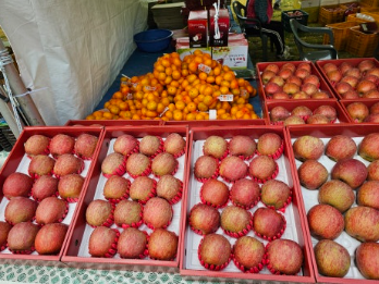 부석사 잔디광장 사과판매장