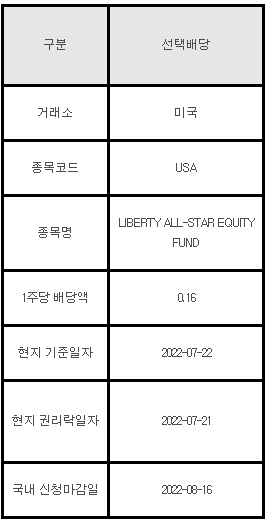 미국주식 선택배당 안내 USA