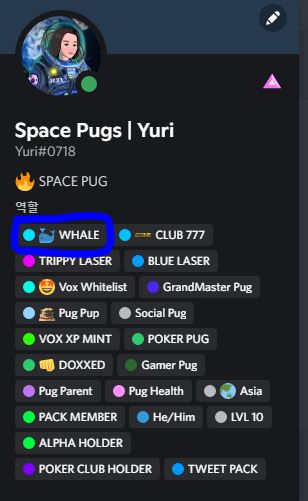 스페이스 푸그-whale-Role