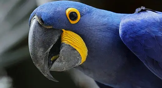 아빠 육아휴직 장려금 신청 방법