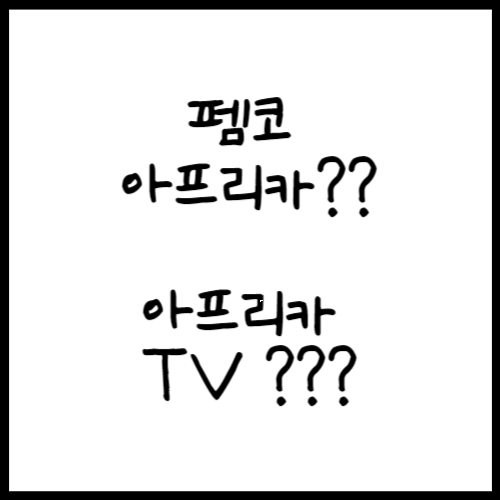 펨코 아프리카