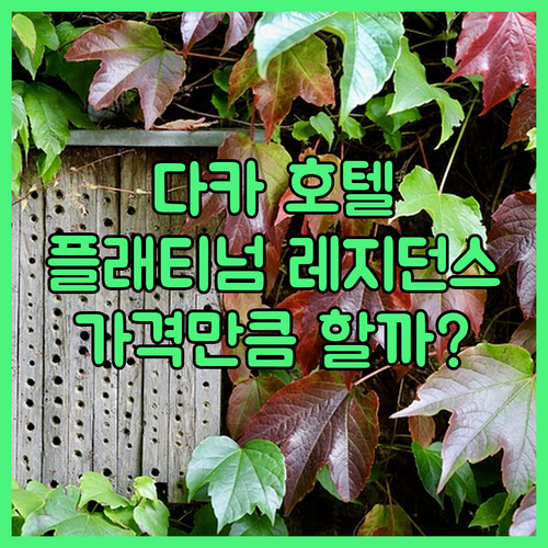 다카 럭셔리 호텔 체험기! 플래티넘 ..