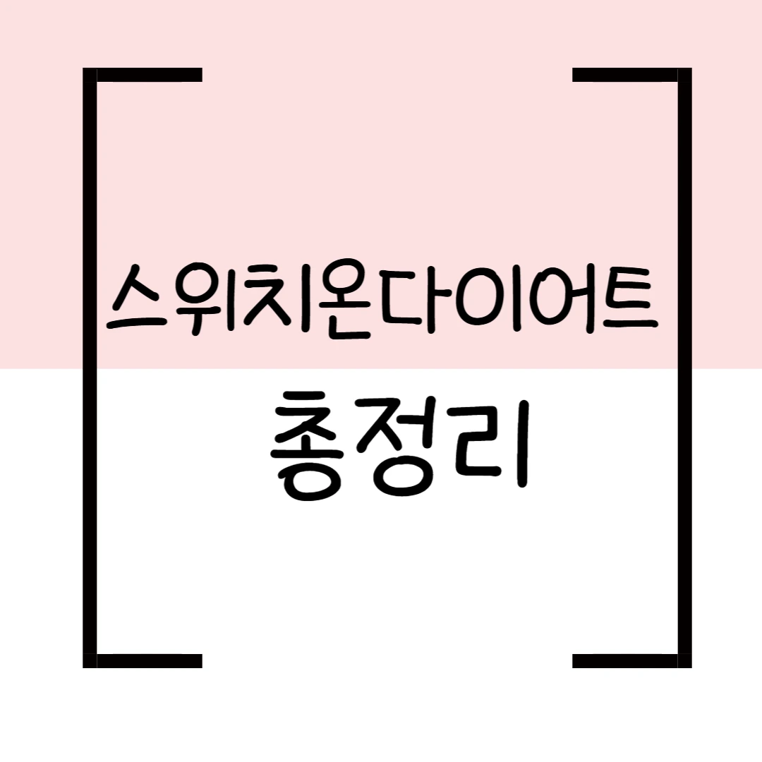 스위치온 다이어트 완벽 정리