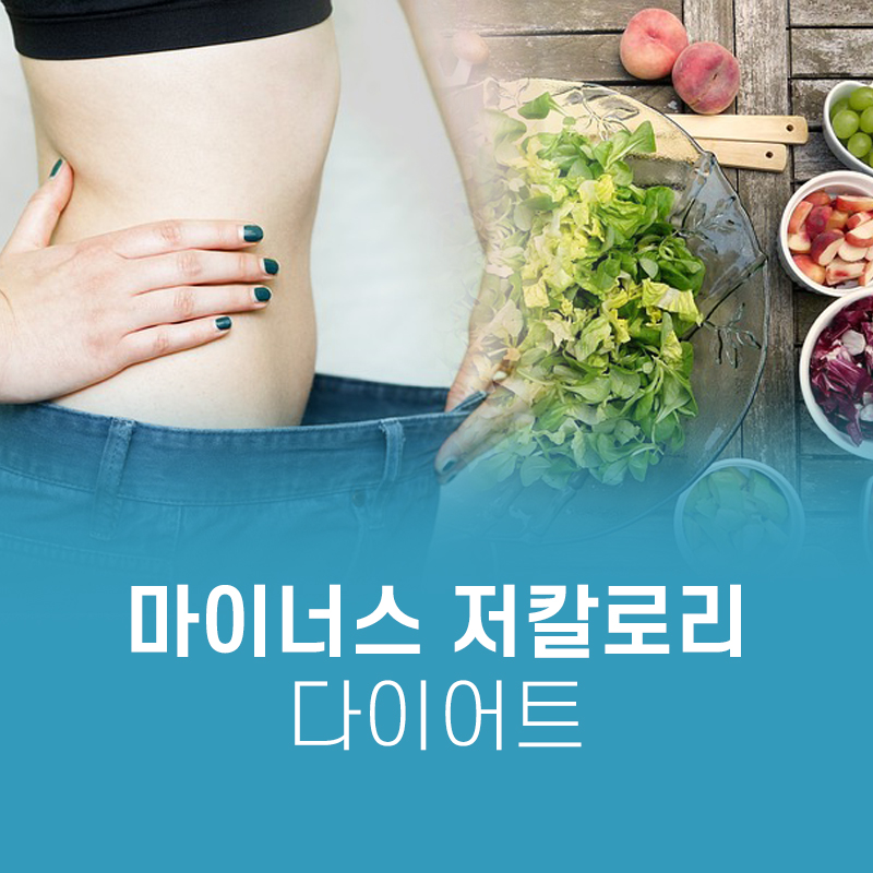 마이너스 저칼로리 다이어트 소개